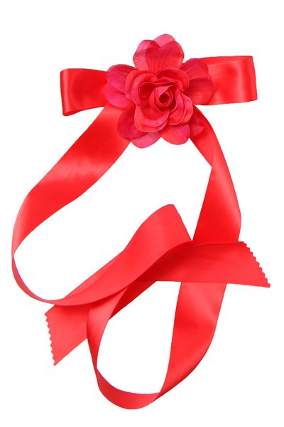 red ribbon and rose sash
